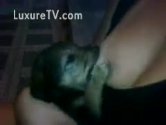 Sucking his master's breast, the baby pup